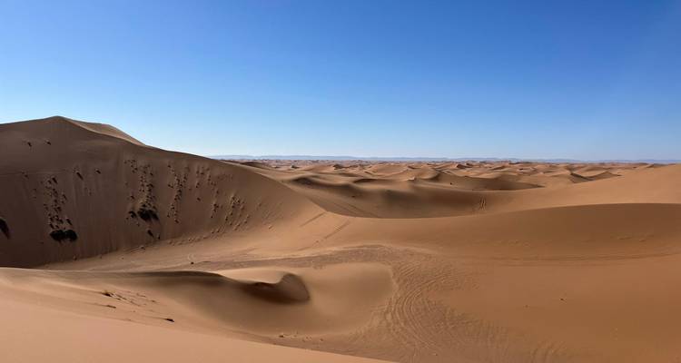 Desert landscape with sand dunes under a clear blue sky.