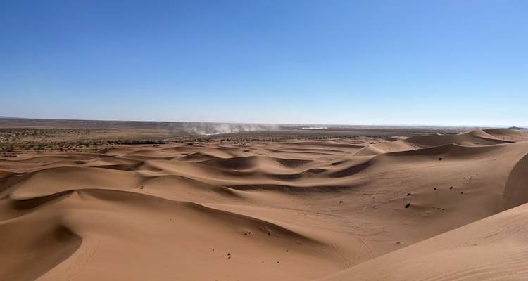 Expansive view of sand dunes in a desert setting.