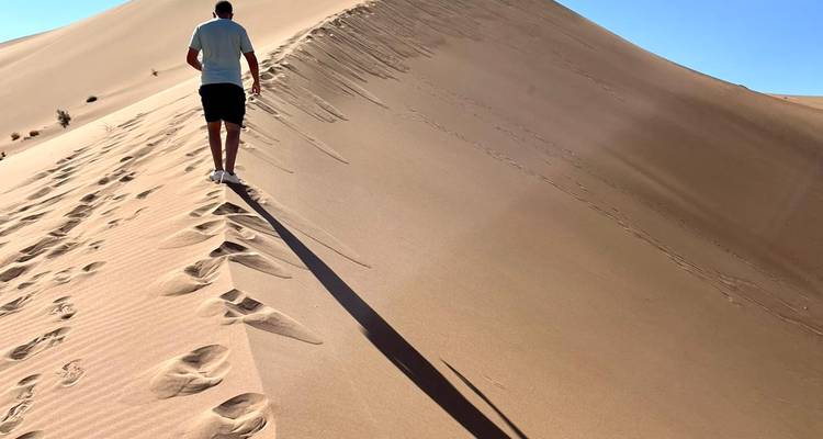 Person walking along a sand dune with a long shadow.