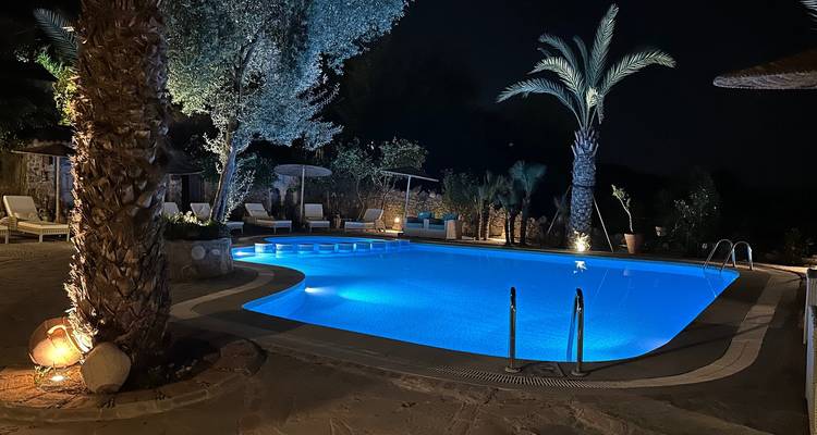 Illuminated swimming pool with palm trees at night