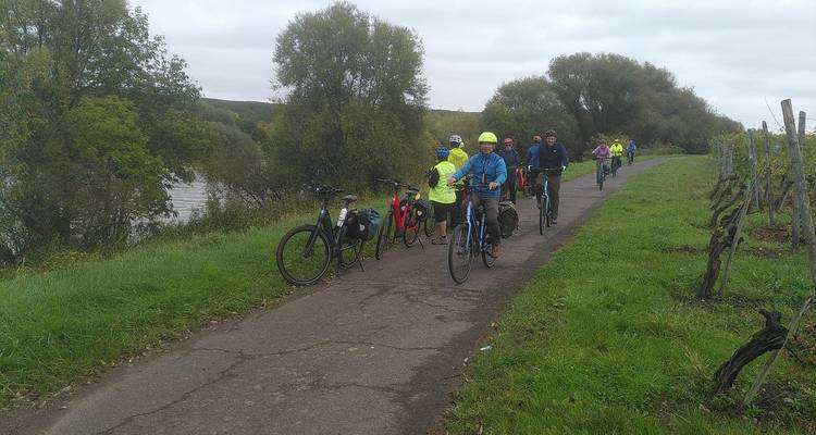 Cyclists riding on a path beside a river lined with trees.