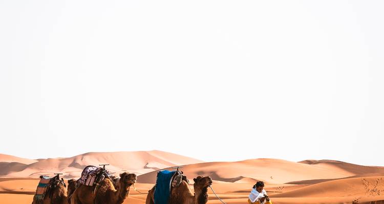 Caravane de chameaux traversant les dunes de sable.