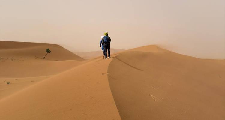 Marcheur solitaire sur la crête d'une dune de sable avec un arbre en vue.