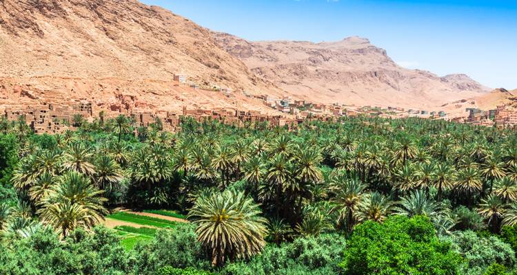 A lush green palm oasis stretches across a valley beneath rugged desert mountains.