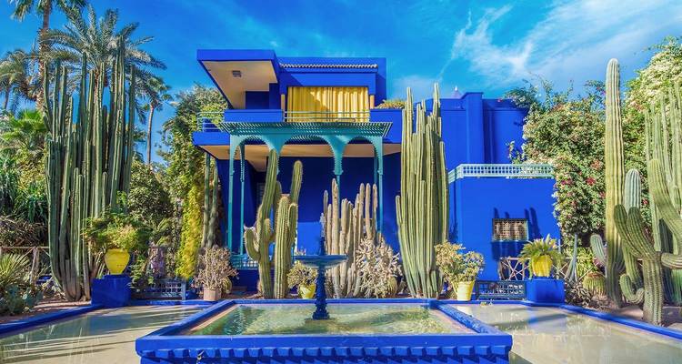 Arquitectura azul y amarillo brillante rodeada de altos cactus en Jardin Majorelle, Marrakech.