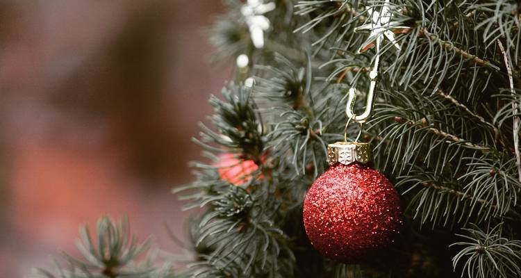 Close-up of a red Christmas bauble on a tree.