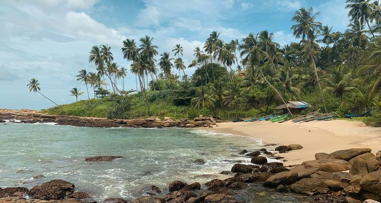 Plage isolée avec palmiers et rivage rocheux.