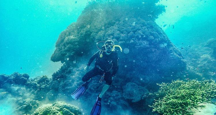 Plongeur sous-marin nage à côté d'un récif corallien et d'une grande formation rocheuse dans une eau bleue claire