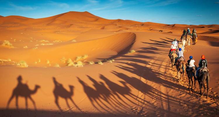 Kameelkaravaan die lange schaduwen werpt op zandduinen.