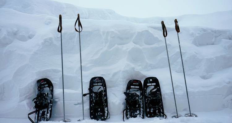 Snowshoes and ski poles lined up against a snow wall.
