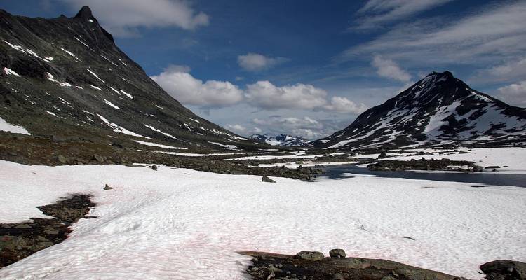 Majestic snowy mountains with a clear sky in the background.