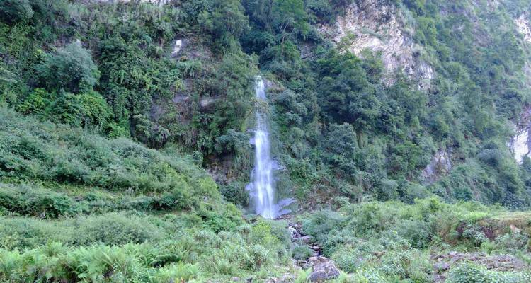 Cascade dévalant le long d'un versant de montagne verdoyant.