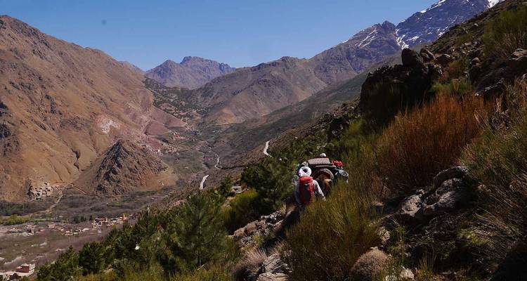 Wandelaars die een smal bergpad aflopen.