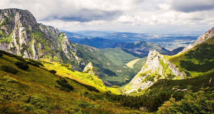Paysage de montagne avec une végétation luxuriante et des pics rocheux.