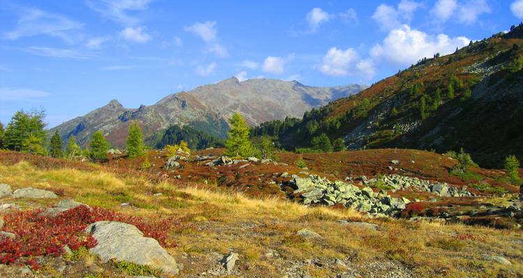 Bergige Landschaft mit Herbstfarben.