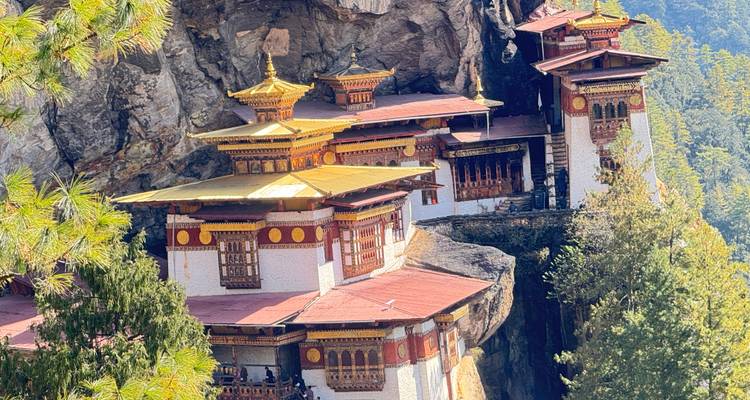 Une vue saisissante du monastère de Tiger's Nest perché de façon spectaculaire sur des falaises abruptes au milieu d'une forêt de pins.
