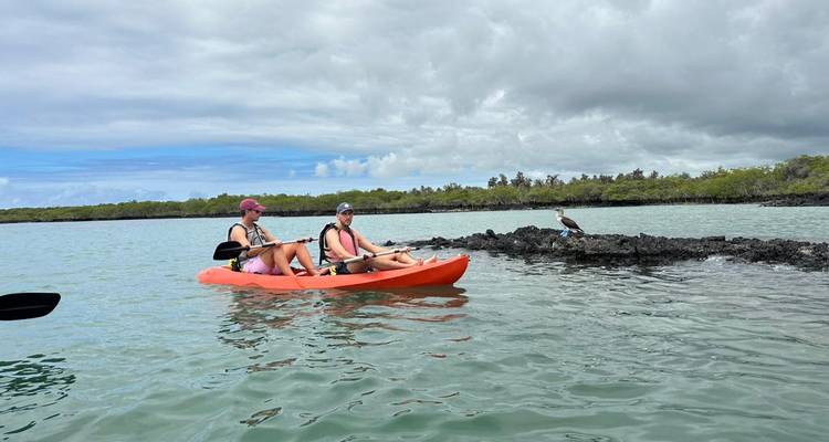 Deux personnes faisant du kayak dans une étendue d'eau calme avec un oiseau perché à proximité.