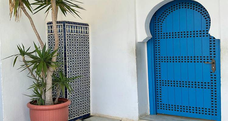 Une porte voûtée bleue avec une plante en pot et une décoration murale.