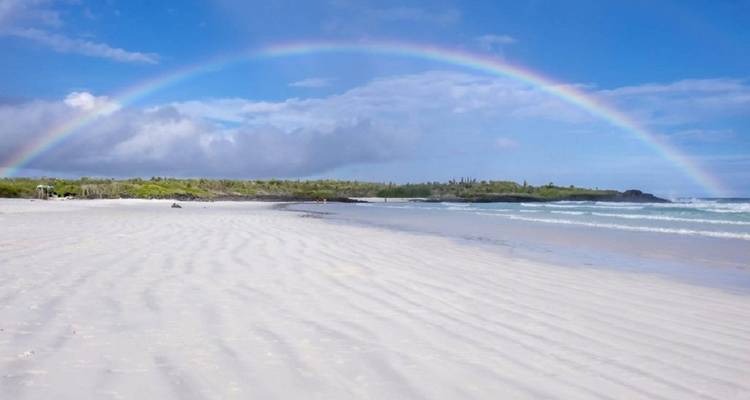 Plage de sable avec un arc-en-ciel complet qui se dessine dans le ciel.