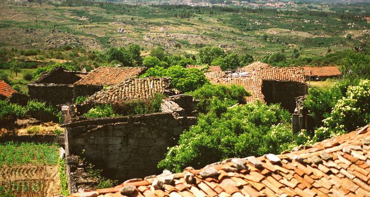 Vista sobre tejados rústicos y paisaje exuberante.