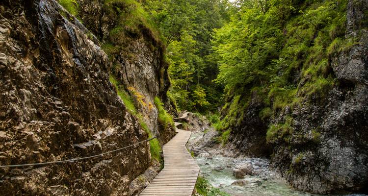 Un sendero de madera a través de un cañón rocoso con un arroyo.