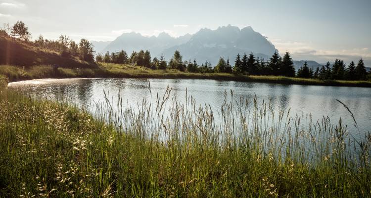 Un petit lac entouré d'herbe et de montagnes lointaines.