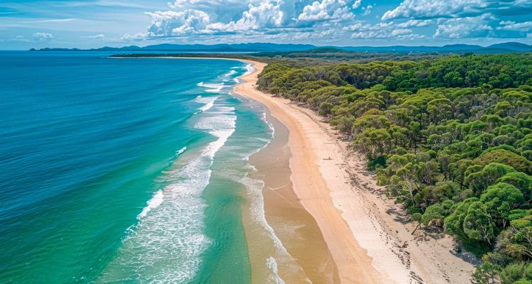 Longue étendue de plage avec une forêt côtière luxuriante.