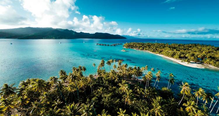 Littoral tropical avec une végétation luxuriante et des eaux claires.