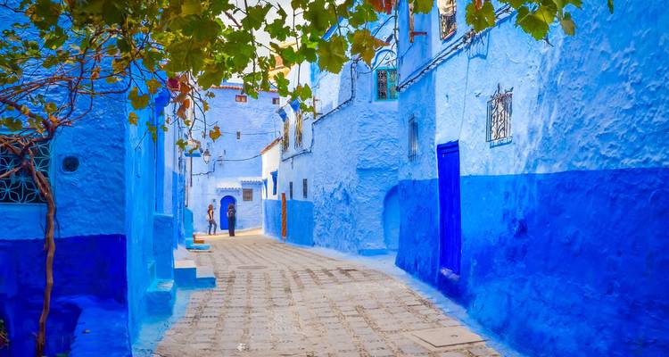 A charming street in Chefchaouen, with blue-painted walls and a leafy canopy.