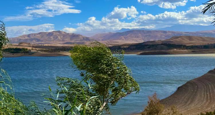 Gran lago con montañas y primer plano ventoso.