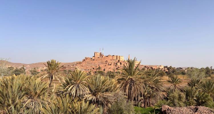 Leemstenen dorp met palmbomen in een oase-achtige omgeving.