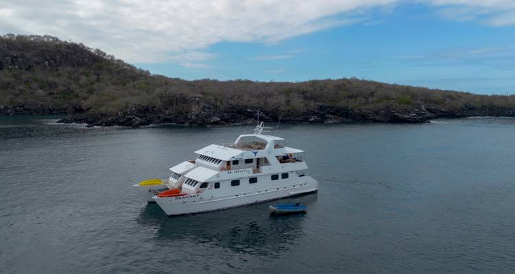 Yacht ancré près d'une île rocheuse dans une eau claire.