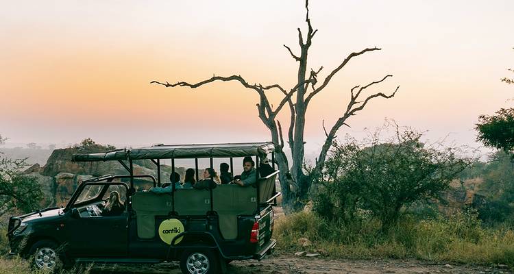 Een safari jeep vol met reizigers rijdt bij dageraad door de bosveld met een silhouet van een boom in de buurt.