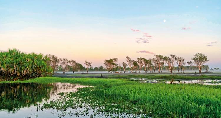 Wetland area with trees and reflections in water under a twilight sky.