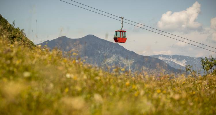 Téléphérique rouge passant au-dessus d'une prairie avec des montagnes en arrière-plan.