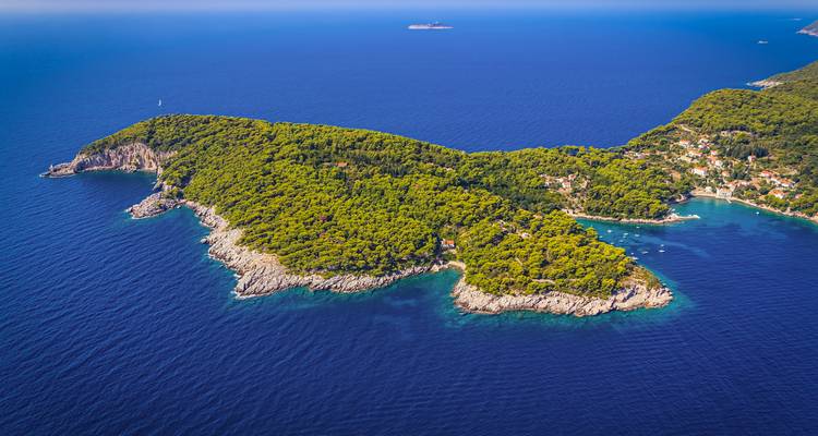 Vue aérienne d'une île boisée.