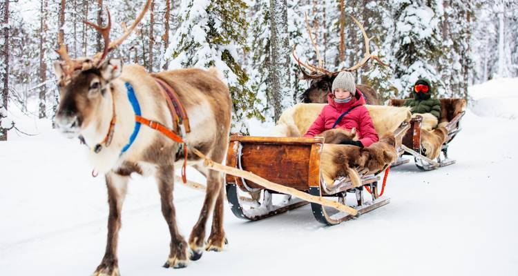 Children enjoying a reindeer-drawn sleigh in a snowy forest.