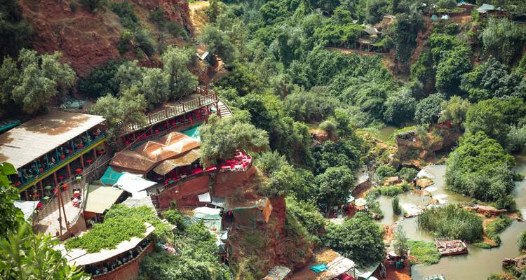 Cafés en terrasses sur une colline avec de la verdure.
