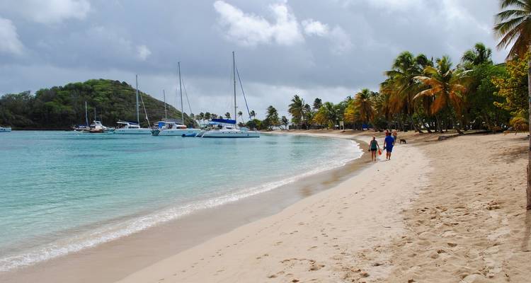 Plage bordée de palmiers avec des gens qui se promènent le long du rivage et des bateaux dans l'eau.