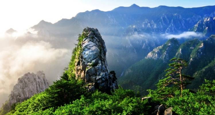 Montagnes majestueuses avec de la brume et des forêts vertes.