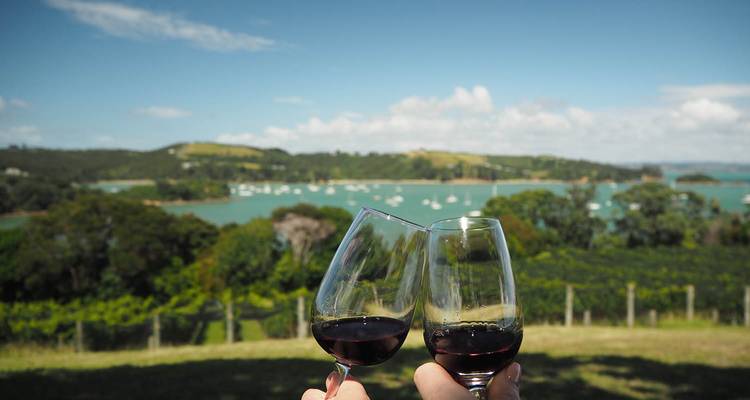 Dos copas de vino tinto brindando con un viñedo pintoresco y el mar de fondo.