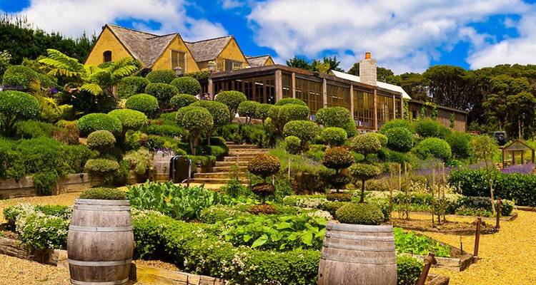 Hermoso jardín con plantas bien cuidadas y un edificio pintoresco.