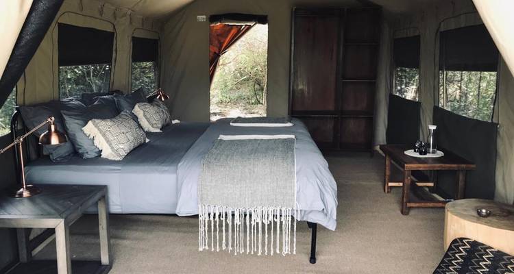 Interior de una tienda de glamping con una cama y muebles.
