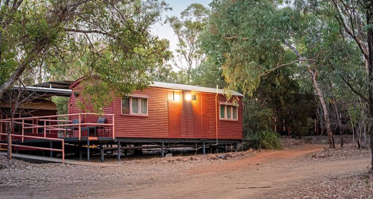 Red cabin in a wooded area under a clear sky.