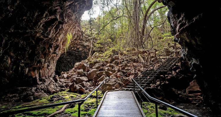 Cave entrance with rock formations and greenery.