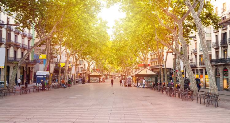 Rue piétonne bordée d'arbres avec des gens qui marchent et une lumière chaude du soleil.