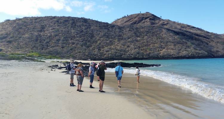 Een groep mensen die op een zandig strand bij de oceaan staat.