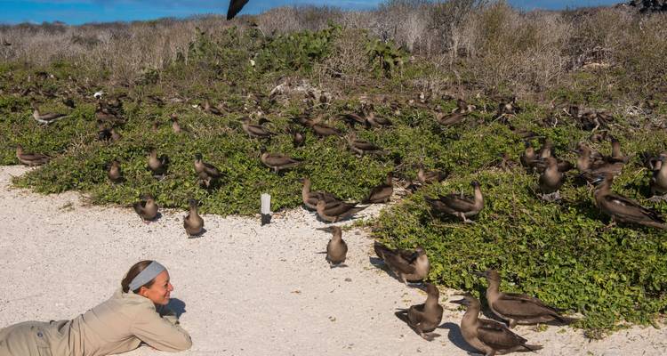 Een persoon die op de grond ligt en een grote groep vogels observeert.