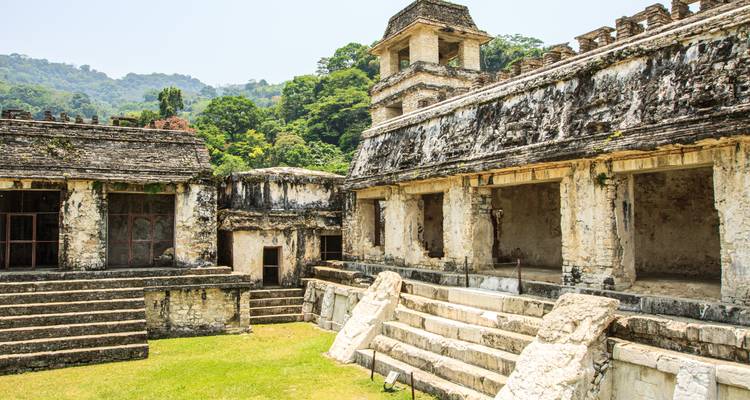 Ruines mayas avec des sculptures complexes dans la jungle.