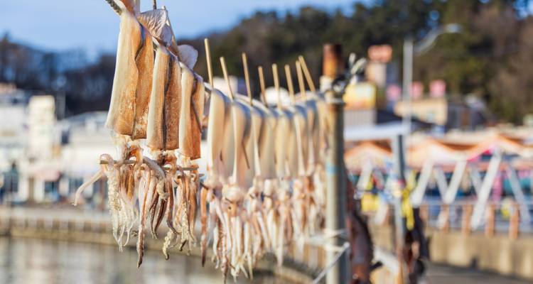 Rangée de calmars fraîchement pêchés suspendus sur des brochettes pour sécher au soleil dans un marché en bord de mer.